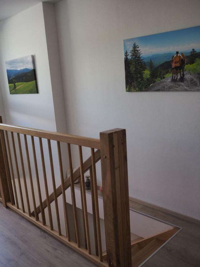 Dolni Morava - Apartmany Exterior foto
